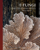 The Lives of the Natural World: The Lives of Fungi: A Natural History of Our Planet's Decomposers