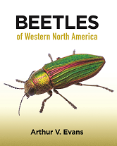  Beetles of Western North America 