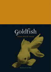 Animal: Goldfish