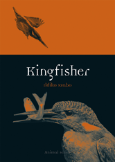 Animal: Kingfisher