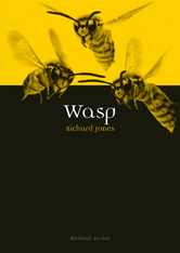 Animal: Wasp